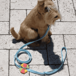 Angela Bow Leash